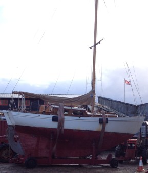 On her way to her winter cradle.